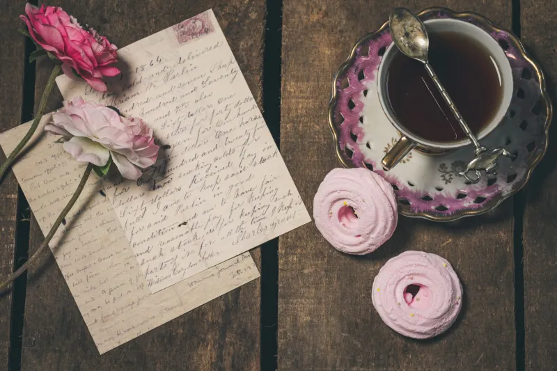 Scroll to the Bottom of Your Own Grave: How Instagram Buried Every Aesthetic You Ever Loved